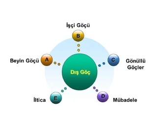 Göç Türleri Nelerdir?