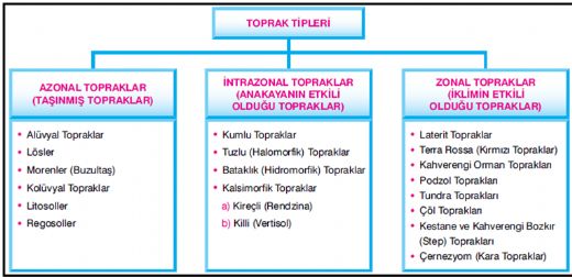 Coğrafya Toprak Tipleri Nelerdir?