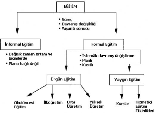 Eğitim Türleri Nelerdir?