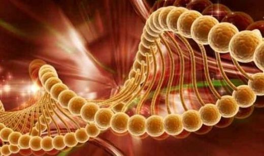 Kanser Türleri Belirtileri ve Tedavisi