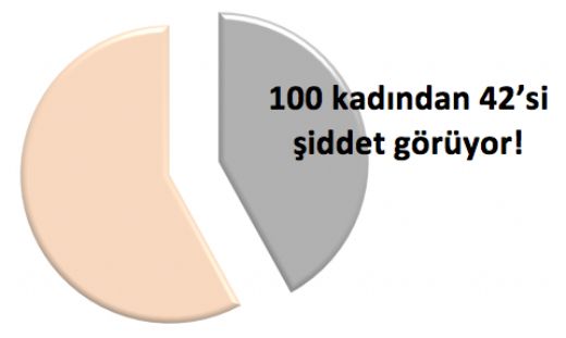 Şiddet Türleri Nelerdir?