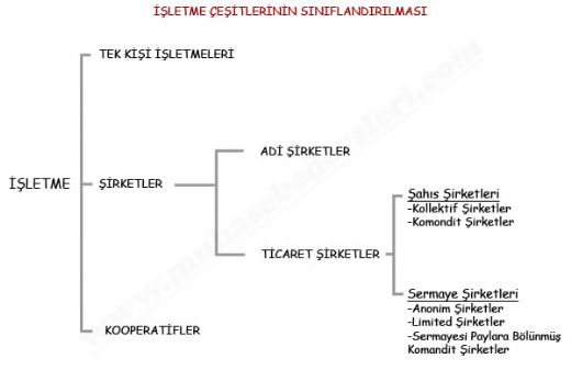 Şirket Türleri Nelerdir?