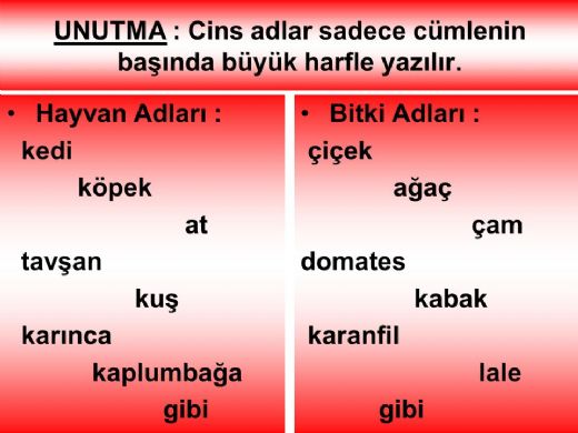 Tür Adı Nelerdir?