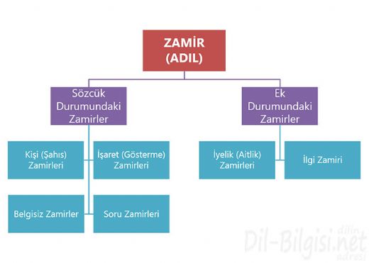 Zamir Türleri Nelerdir?