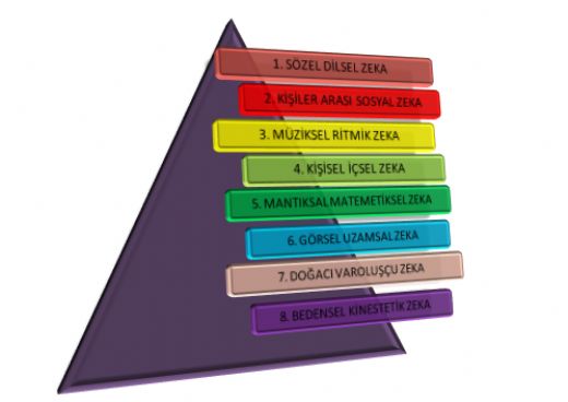 Zeka Türleri Nelerdir?