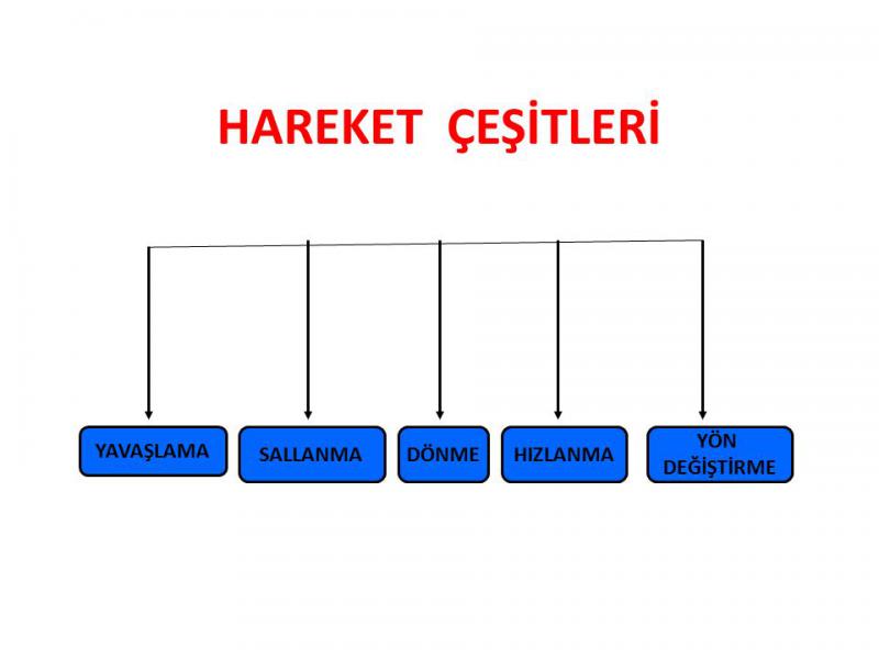 Hareket Türleri Nelerdir?